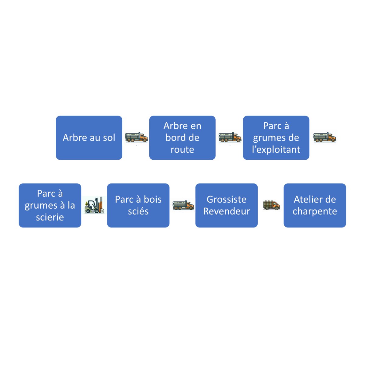 circuit logistique des grumes de bois