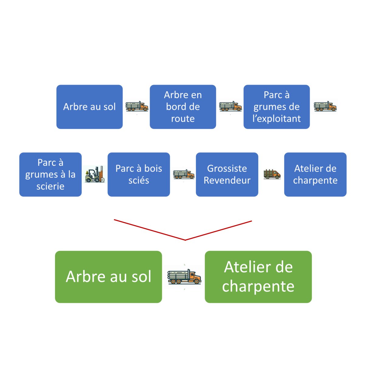 circuit logistique des grumes