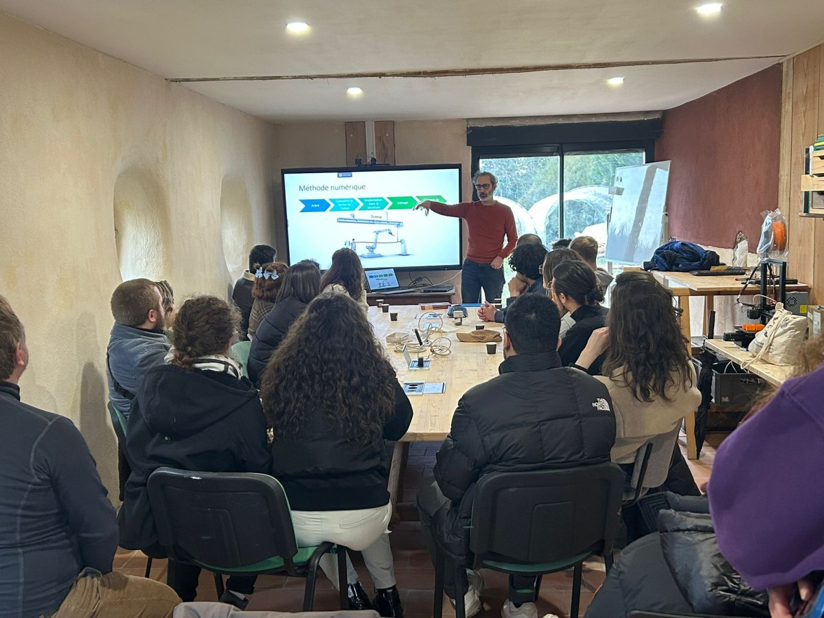 circuit logistique des grumes de bois