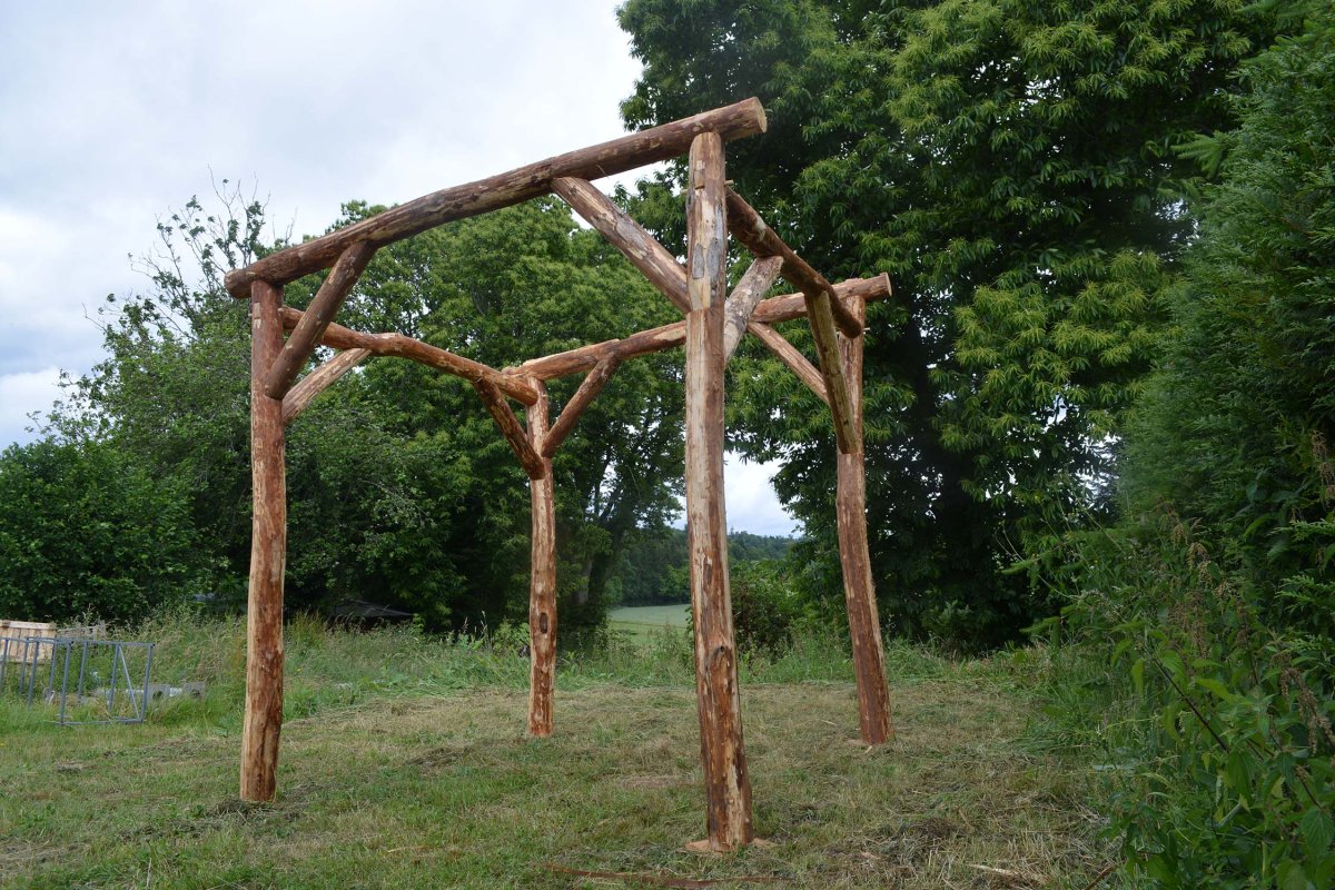 carport en bois brut