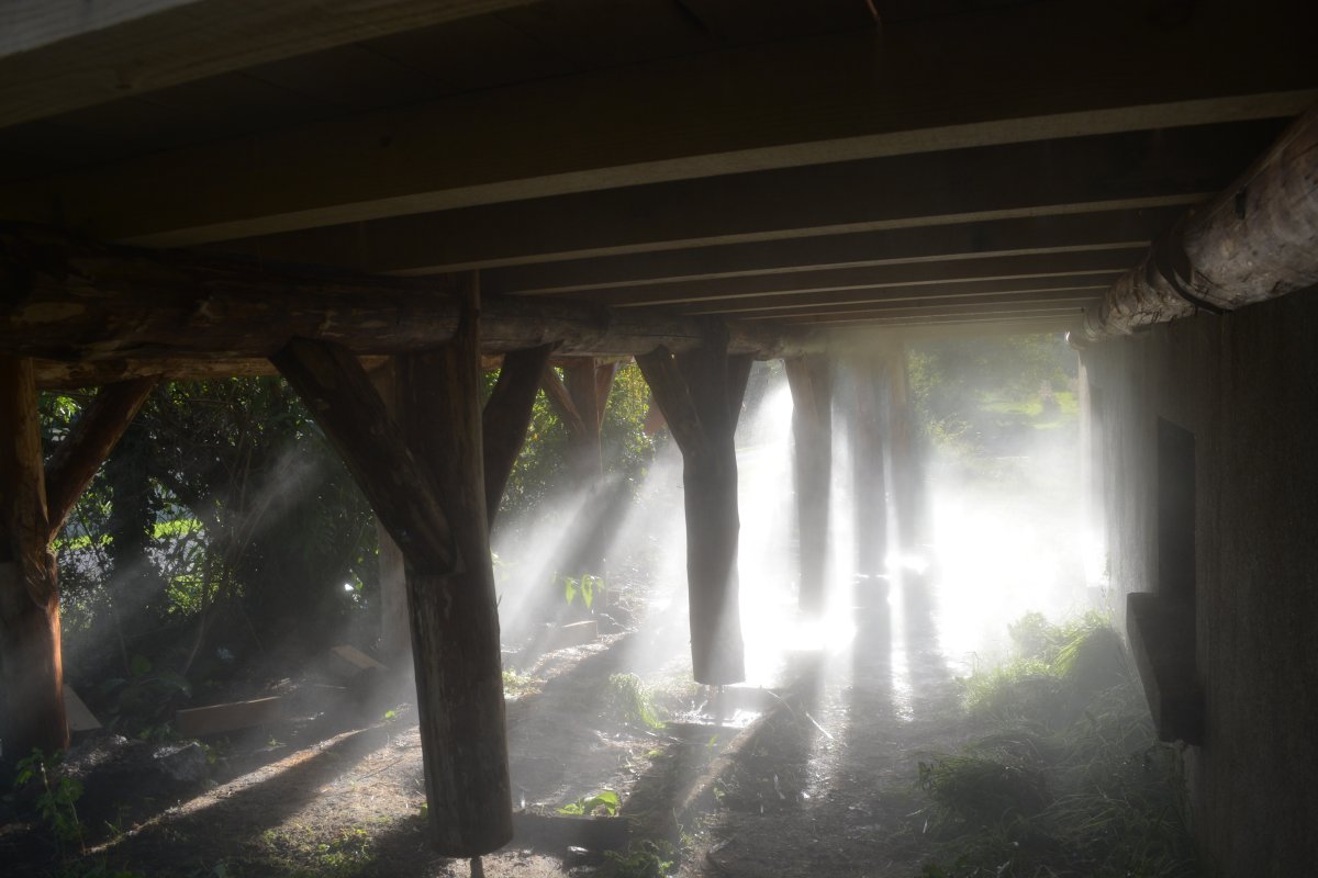 brume sous la structure